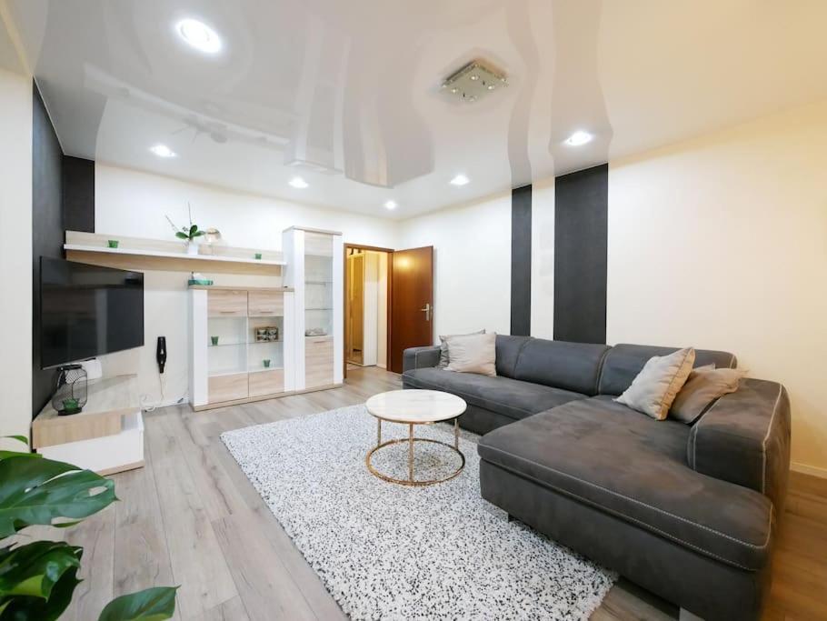 61 M2 Erdgeschosswohnung Mit Eigenem Parkplatz Vorm Haus オスナブリュック エクステリア 写真